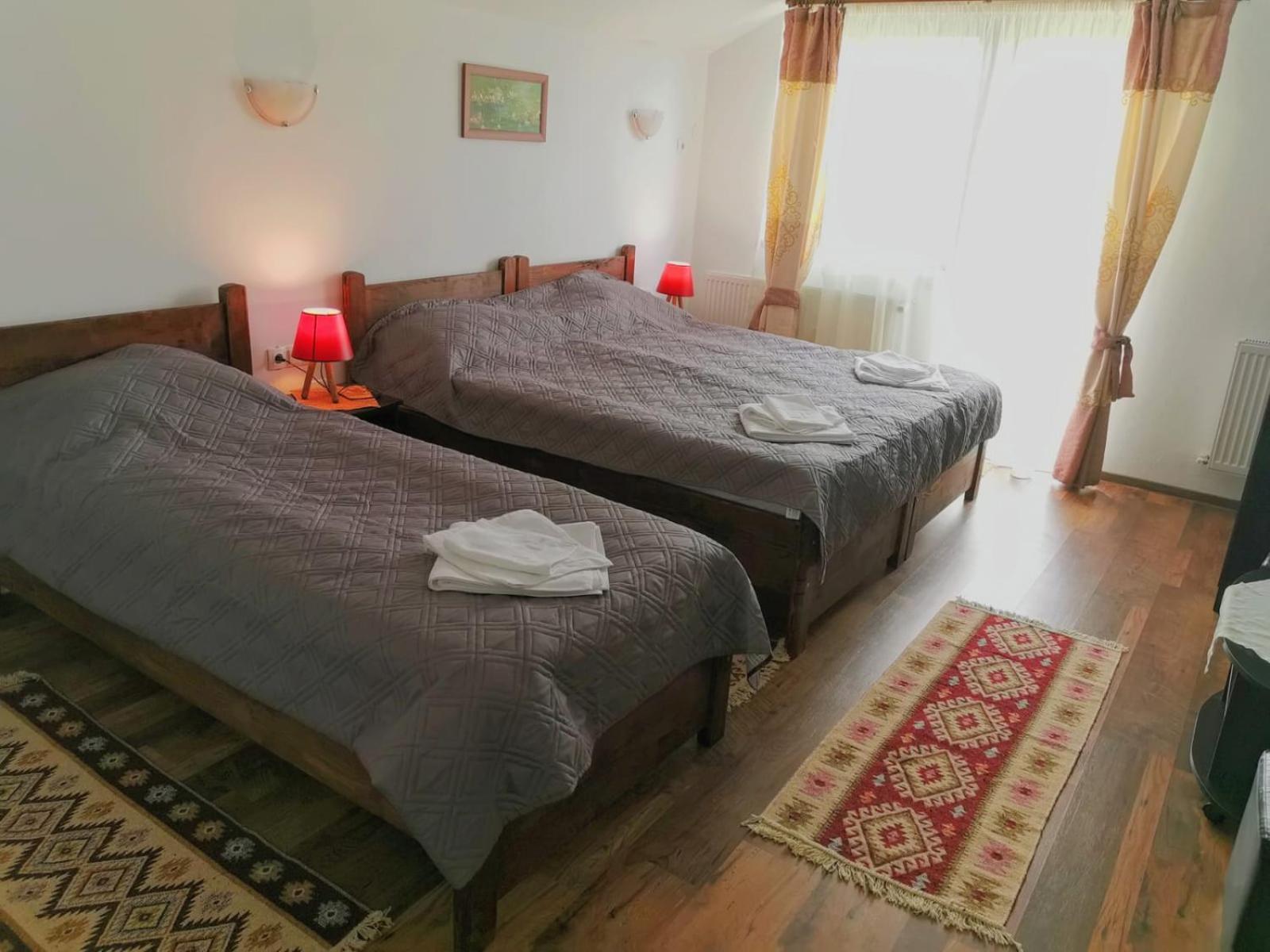 Pensiunea Albina Sinnicoara Zimmer foto