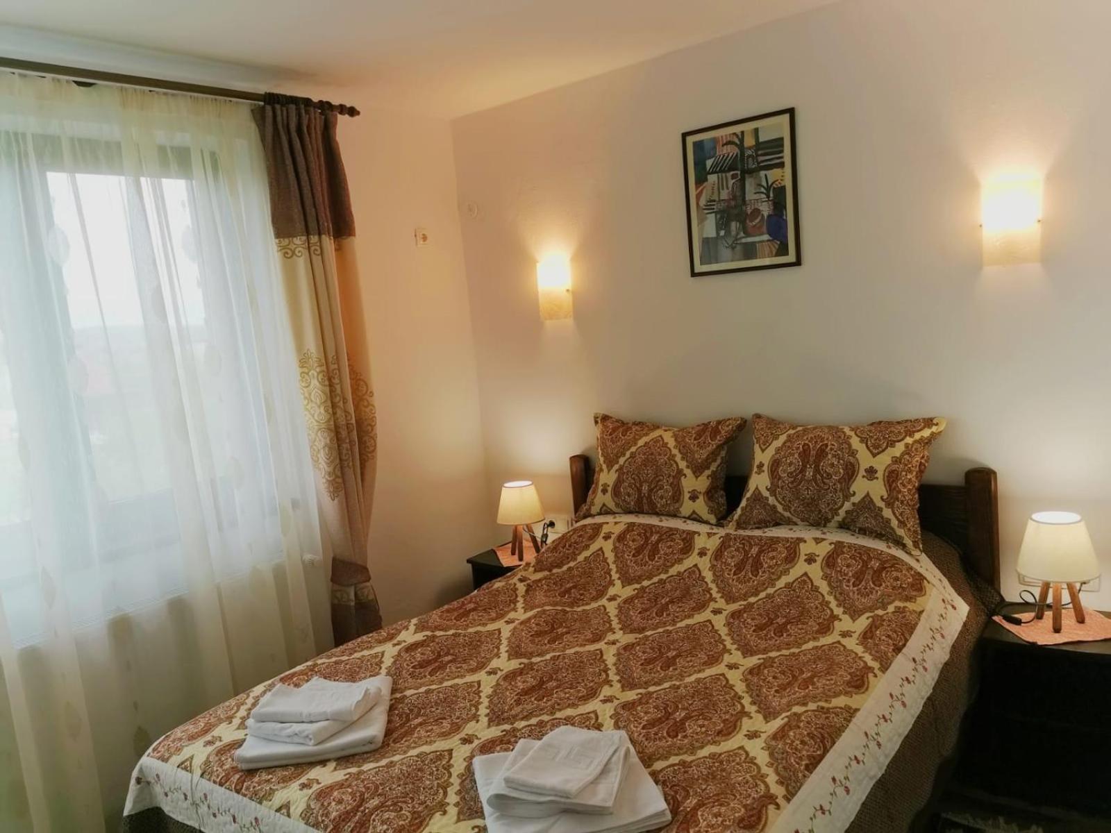 Pensiunea Albina Sinnicoara Zimmer foto